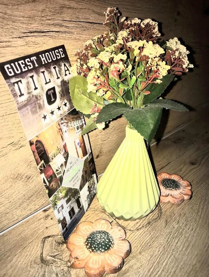 Гостевой дом Tilia Цетине-21