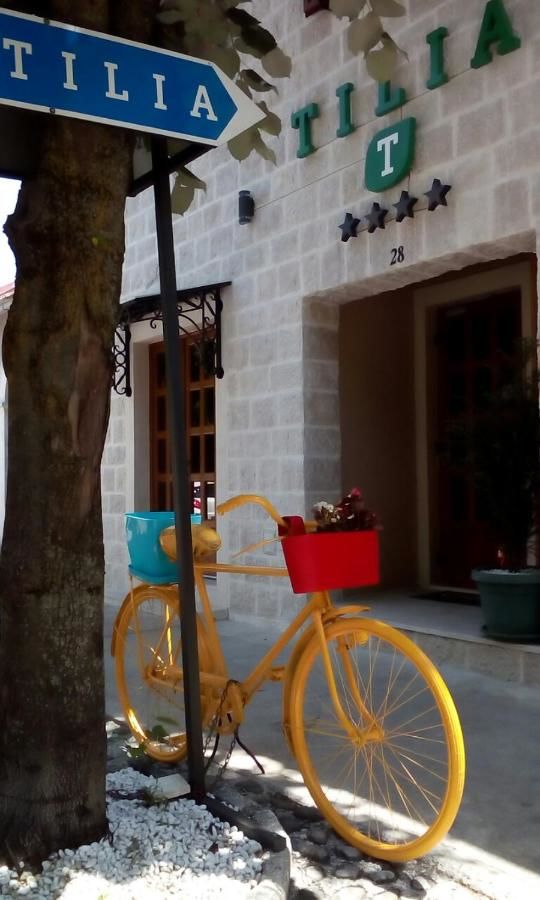 Гостевой дом Tilia Цетине-9