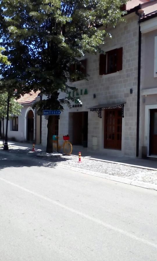 Гостевой дом Tilia Цетине-10