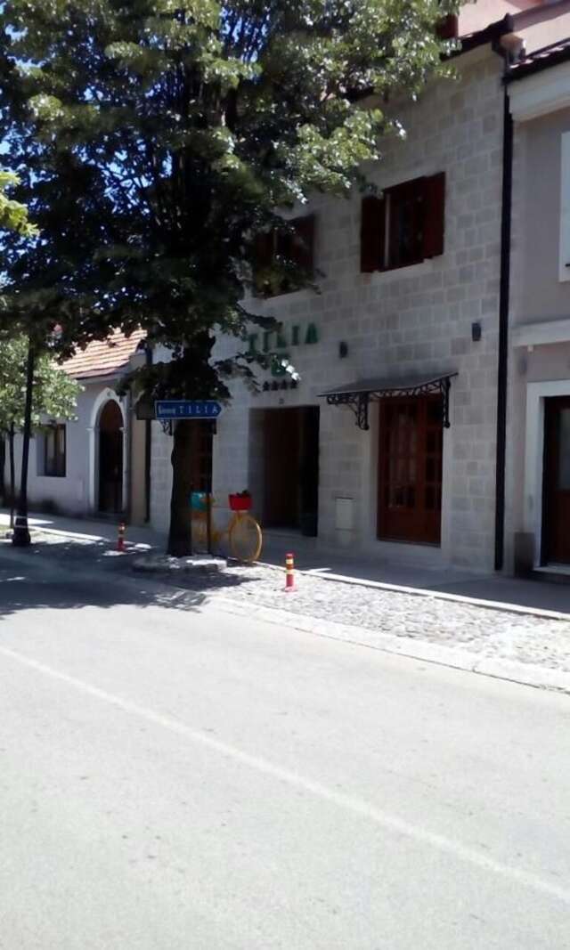 Гостевой дом Tilia Цетине-9