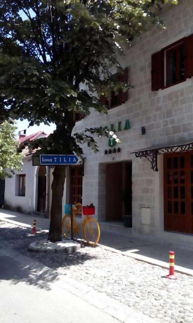 Гостевой дом Tilia Цетине-11